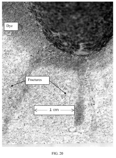fig20.jpg