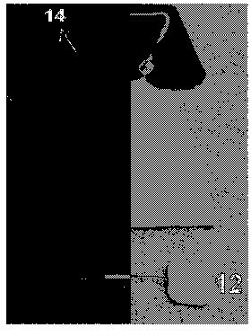 kr2014b.jpg