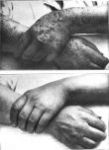 150150_P_ImageFull_1.jpg