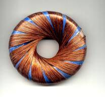 Rodin_coil_torus_jp70.jpg