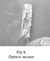 fig4.jpg