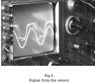 fig5.jpg