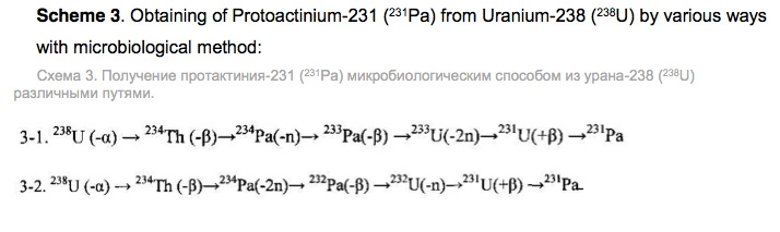 t2scheme3.jpg