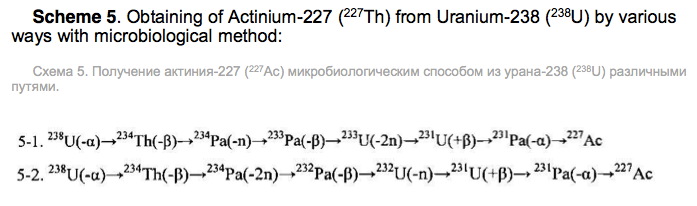 t2scheme5.jpg