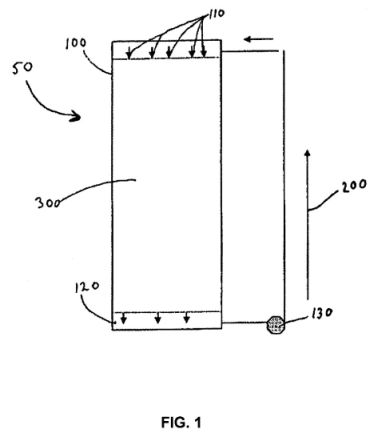 fig1.jpg