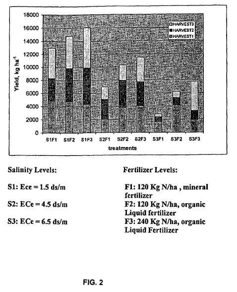 fig2.jpg