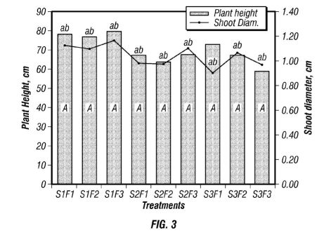 fig3.jpg