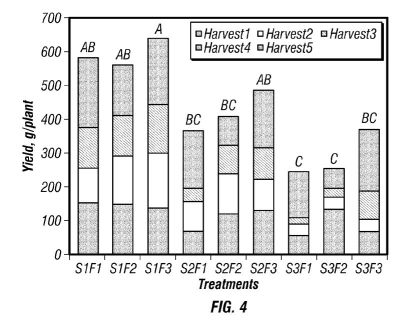 fig4.jpg