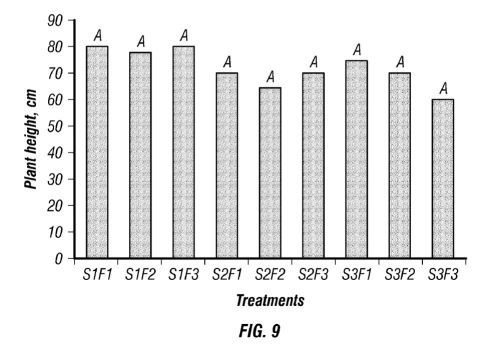 fig9.jpg