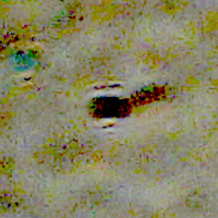 1fig8.jpg
