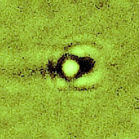 3fig10.jpg