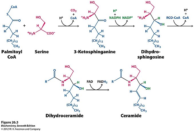 figure_26_03.jpg