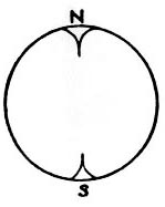 schap1b.jpg