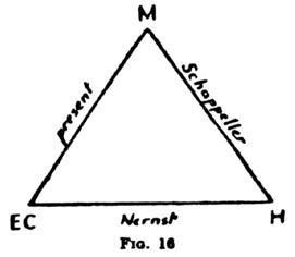 schap4.jpg
