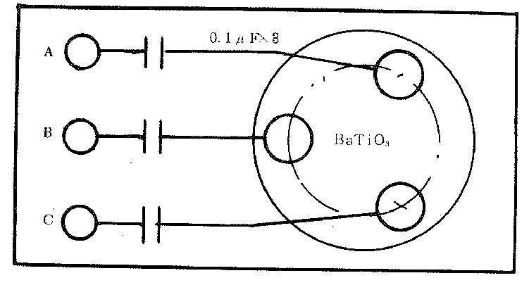 seike5a.jpg