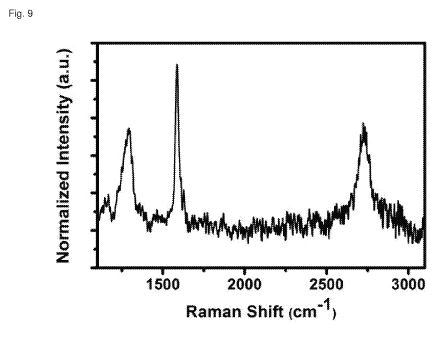wo2017027908i.JPG