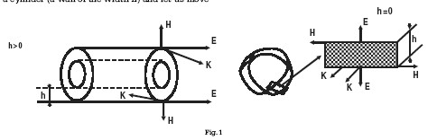 fig1.jpg