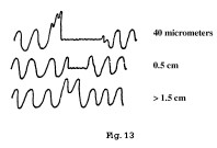 fig13.jpg