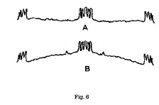 fig6.jpg