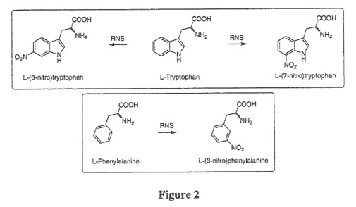 fig2.jpg