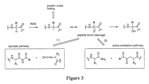 fig3.jpg