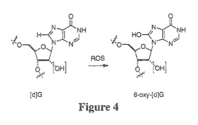 fig4.jpg