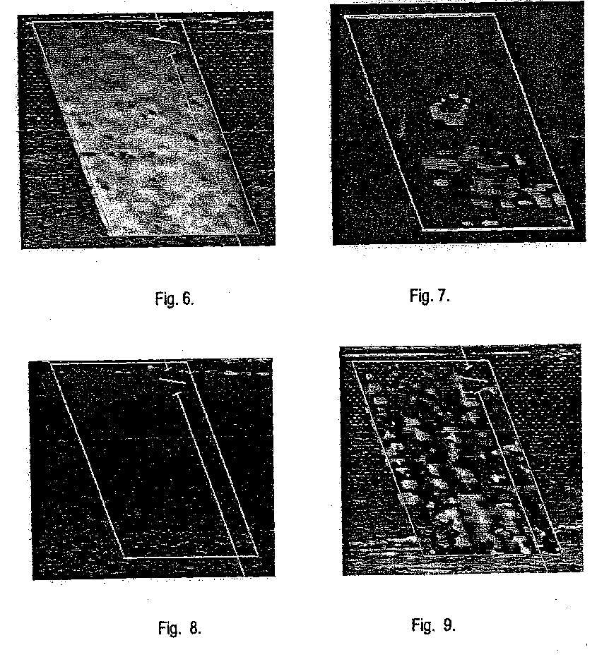 wo858-6789.jpg