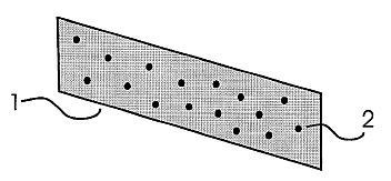 fig1.jpg