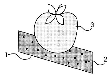 fig2.jpg