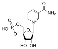 nicotianmidemononucleotide.png