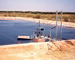 Solar-Pondbhuj.jpg