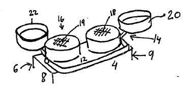 fig2.jpg