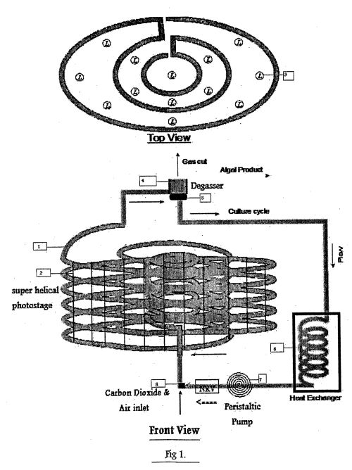 wo2007a.jpg
