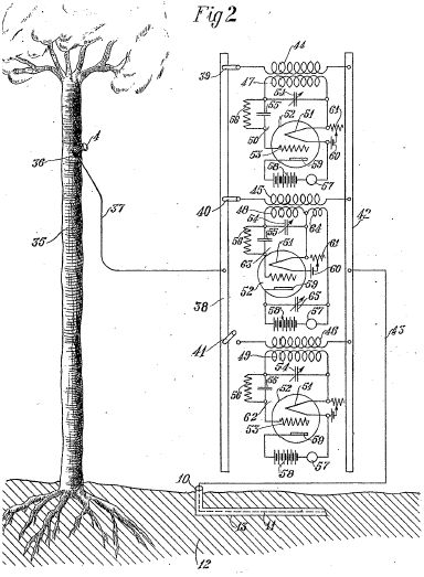 2fig.jpg