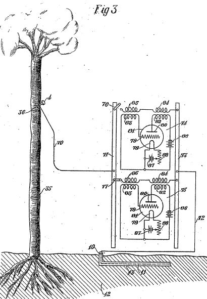 3fig.jpg