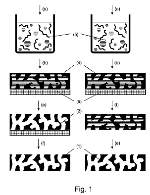 fig1.jpg