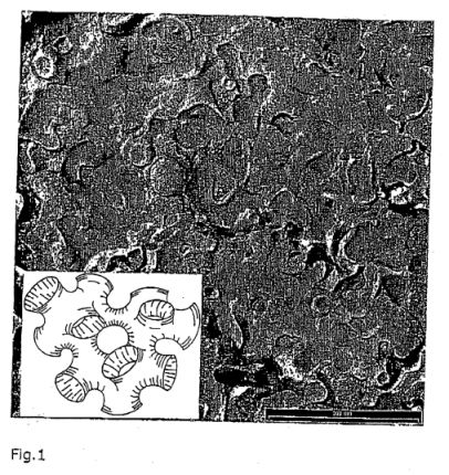 fig1.jpg