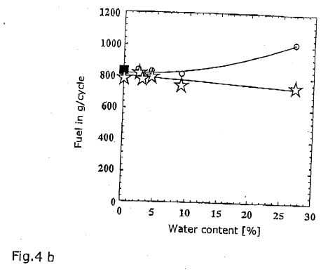 fig4b.jpg