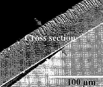 wo2011133116d.jpg