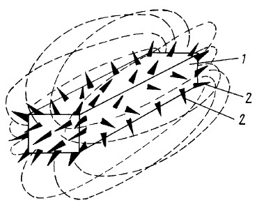 ru2055499.jpg