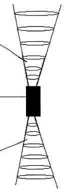 us6548f.jpg