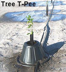 treetpee.jpg