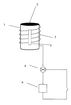 ru2163491.jpg