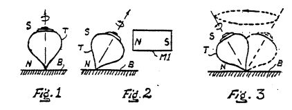 fig1.jpg