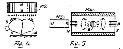 fig2.jpg