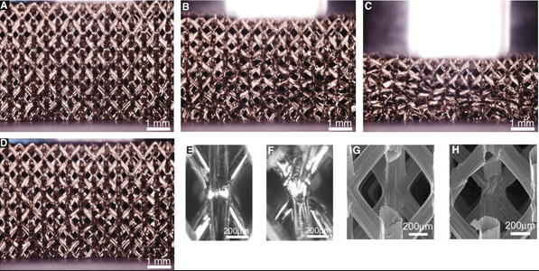 lattice4.jpg