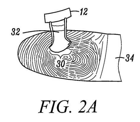 fig2.jpg