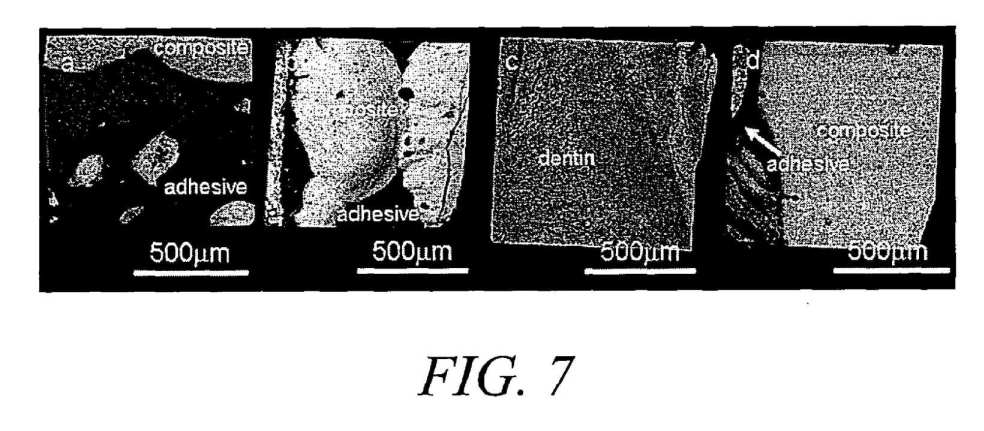 fig7.jpg