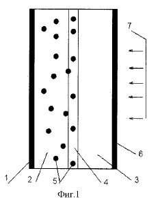 2846.jpg