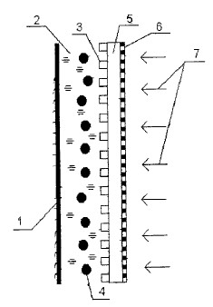 7845.jpg